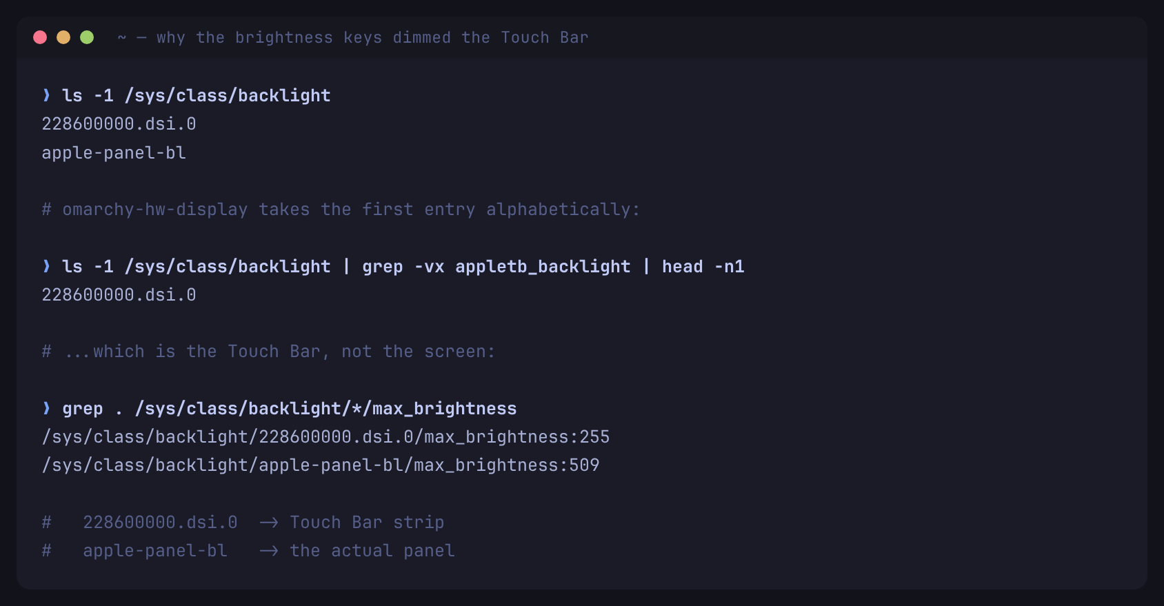 Terminal output showing two backlight devices, the Touch Bar device winning the alphabetical pick, and its max brightness of 255 against the panel's 509